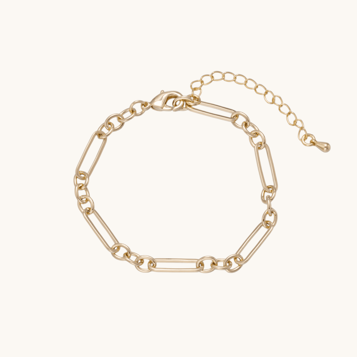 Tessa Vera gold-filled 5mm minimalist paperclip chain bracelet with adjustable lobster clasp on a light background.