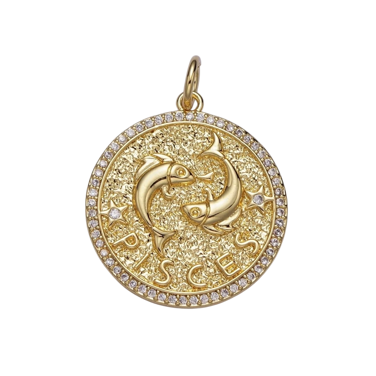24K Gold Filled 29mm Zodiac Birth Star Hammered Round Micro Pave CZ Charm