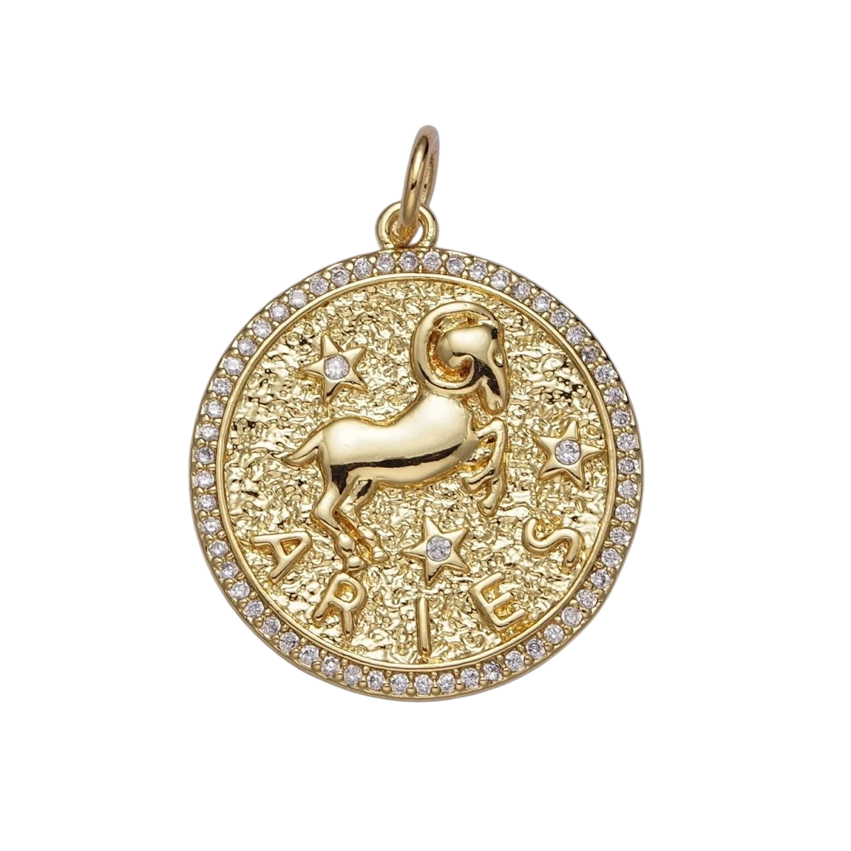 24K Gold Filled 29mm Zodiac Birth Star Hammered Round Micro Pave CZ Charm