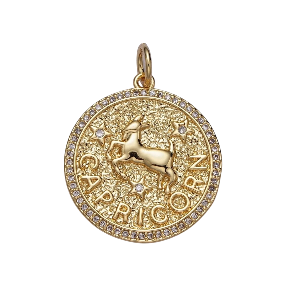 24K Gold Filled 29mm Zodiac Birth Star Hammered Round Micro Pave CZ Charm