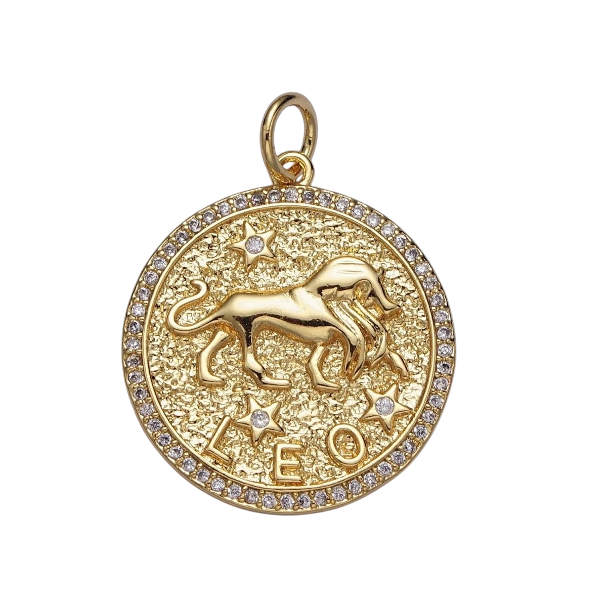 24K Gold Filled 29mm Zodiac Birth Star Hammered Round Micro Pave CZ Charm