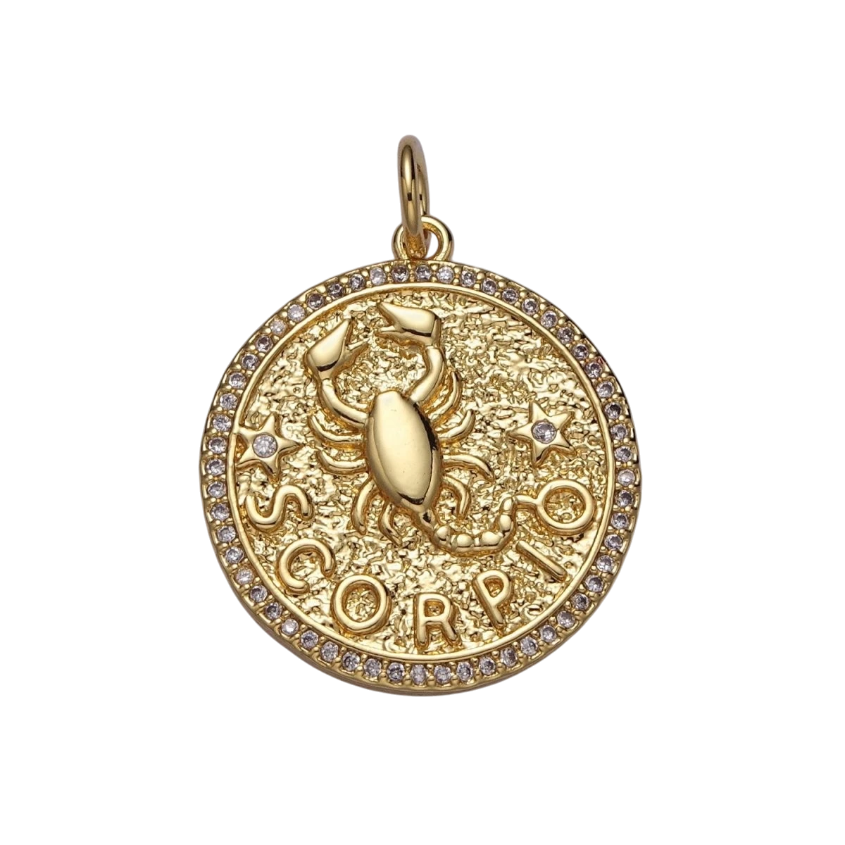 24K Gold Filled 29mm Zodiac Birth Star Hammered Round Micro Pave CZ Charm