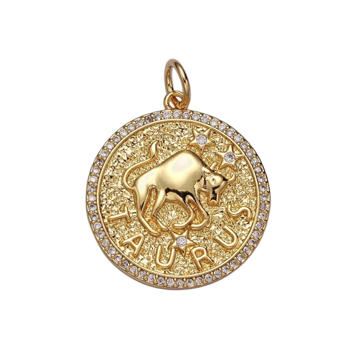 24K Gold Filled 29mm Zodiac Birth Star Hammered Round Micro Pave CZ Charm